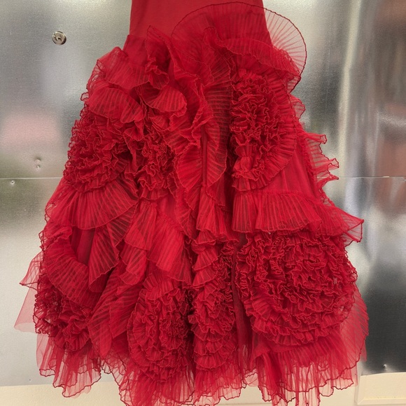 NWOT Dollcake Best Wishes Frock Scarlet Sz 10 - Picture 5 of 7